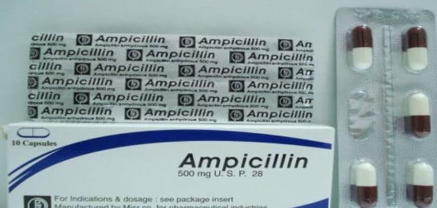 متى يبدأ مفعول دواء أمبيسيللين Ampicillin وأهم التحذيرات